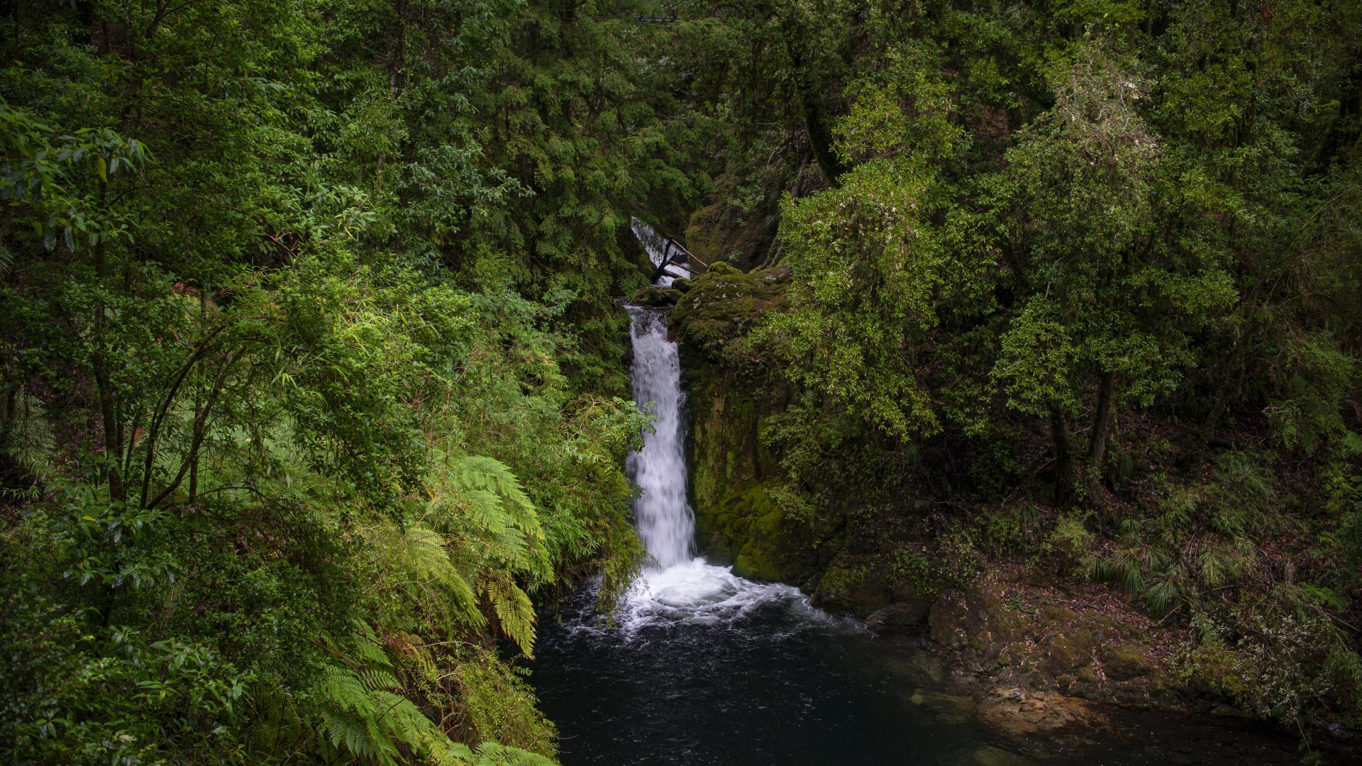 Parque Pirinel: un nuevo espacio de conservación